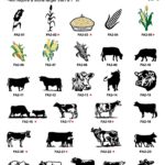 FA-farm-pg-2