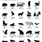 NAW-NAmer-wildmammals01